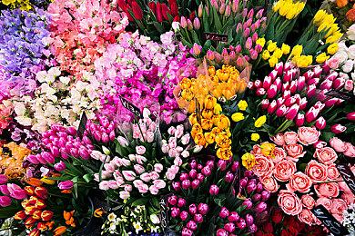 《星际争霸2》原设计师预告新RTS 夏季游戏节揭晓