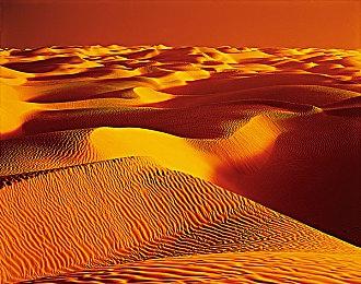 《书恋与君：美少女教我追系花》Steam页面 年内发售